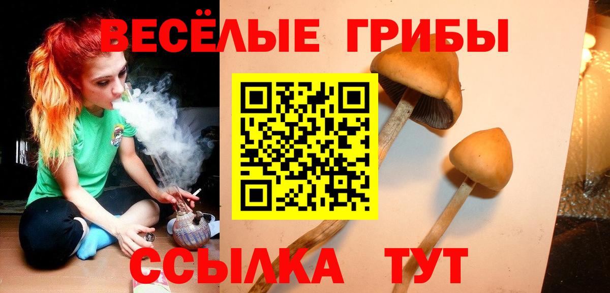 Псилоцибиновые грибы Psilocybe  Вход с VPN  что такое наркотик  Заинск 